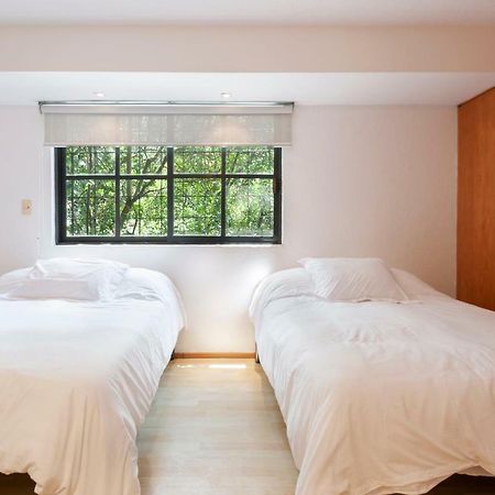 Lovely Apartment Ahuehuetes Mexico City Exteriör bild